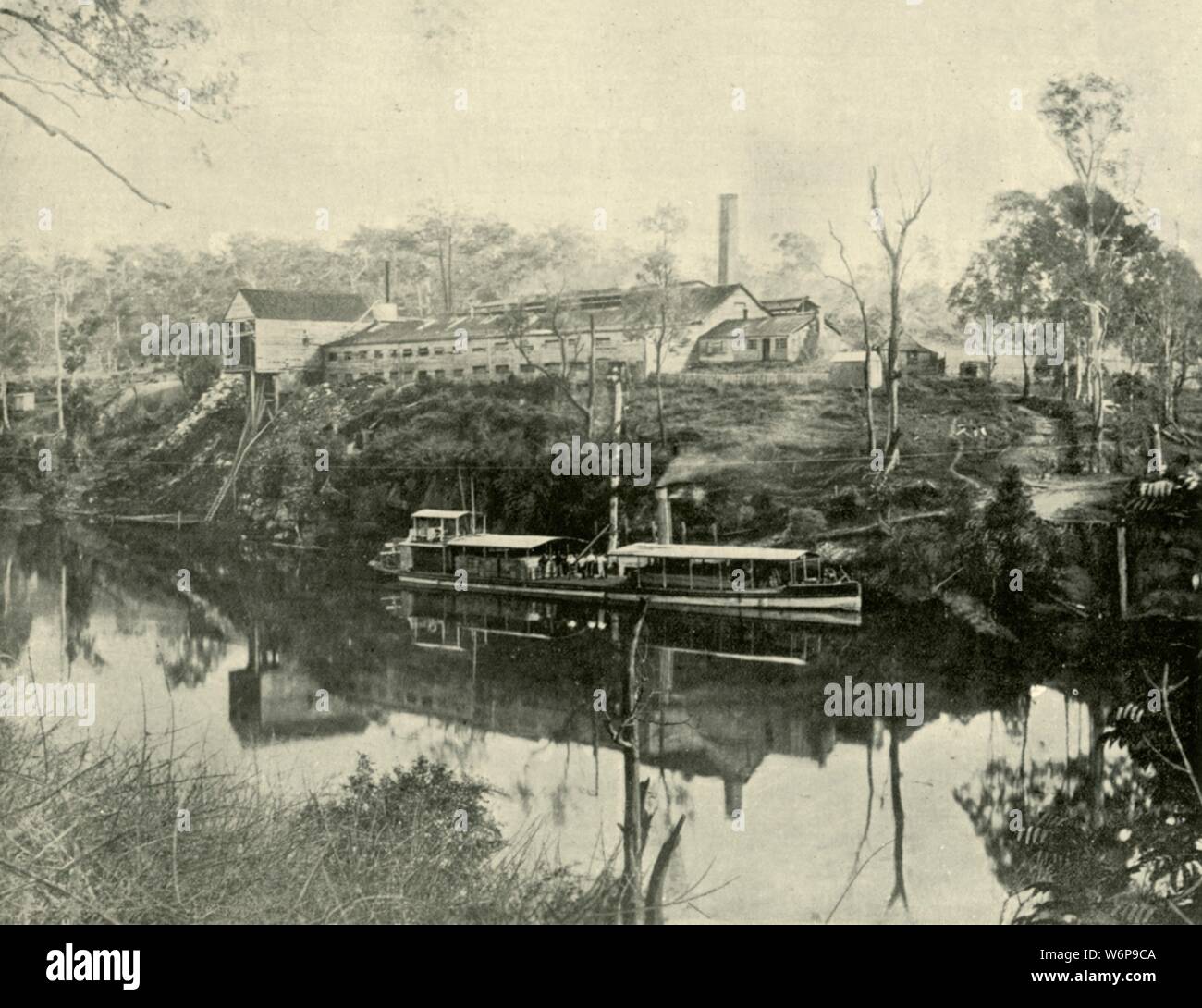 'Messen arbeitet, in der Nähe der Grafton, New South Wales, 1901. Schlachthof bei Grafton auf dem Clarence River. Von "Federated Australien". [Die Werner Company, London, 1901] Stockfoto