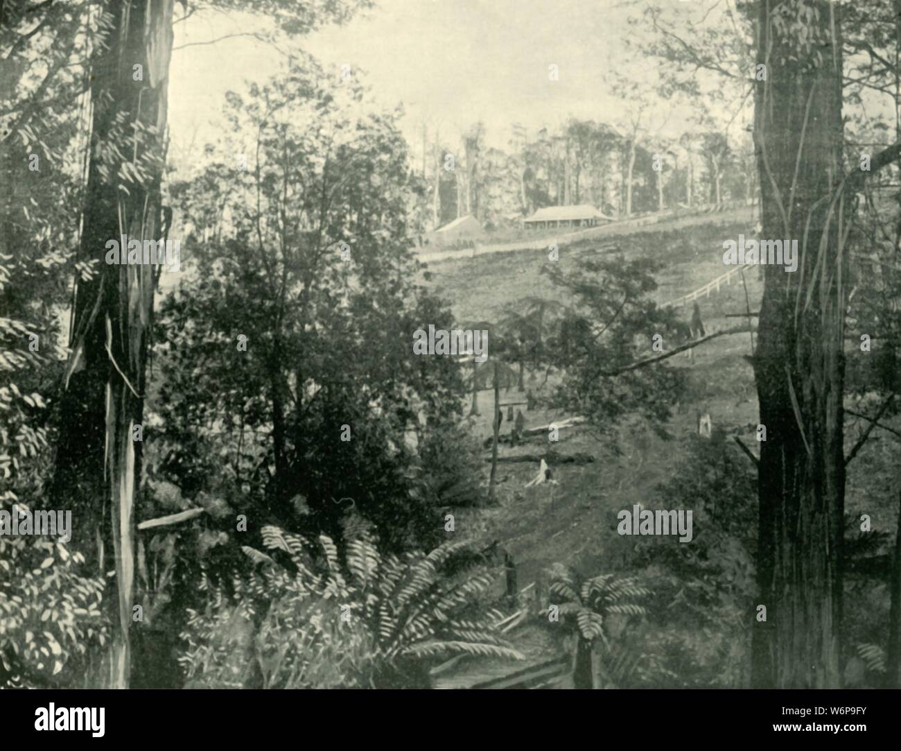 "Szene am oberen Gembrook, Victoria', 1901. Gembrook wurde 1873 für die Landwirtschaft und Holz nieder und ist ein beliebtes Ziel für die Bewohner von Melbourne in weniger als 1,5 Stunden Fahrt von der Stadt. Von "Federated Australien". [Die Werner Company, London, 1901] Stockfoto