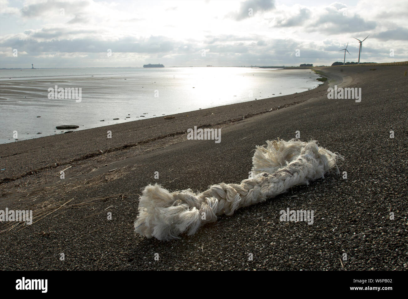 Stück dickes Seil vom Schiff an Land auf dem schützenden Deich an der Westerschelde bei Ebbe gewaschen, Die Niederlande Stockfoto