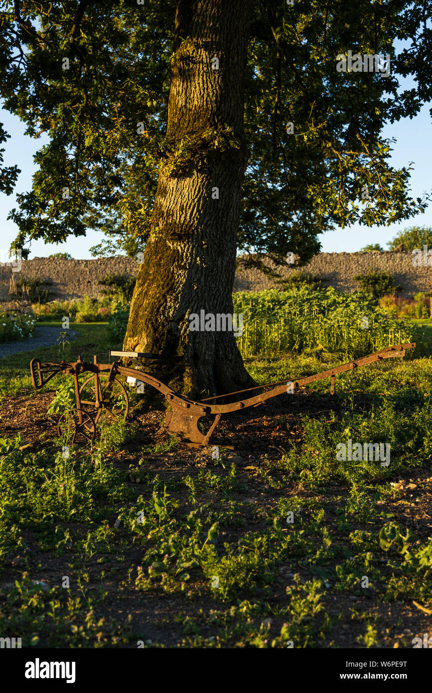 Rostigen gegen einen Baum auf einem Bauernhof in der Grafschaft Tipperary, Irland Pflug Stockfoto