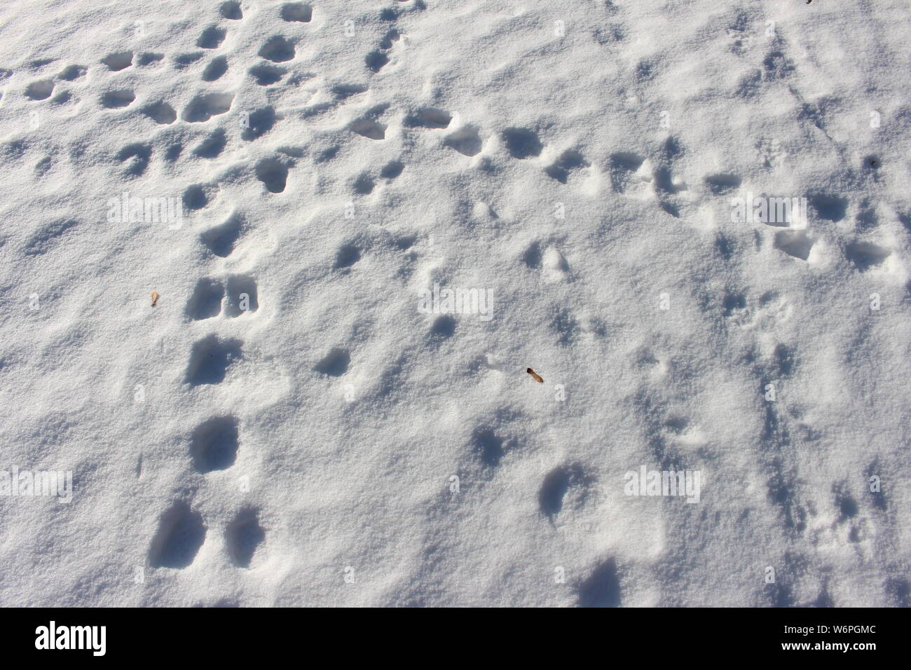 Fußspuren im Schnee, geometrische Minimalismus, winter Stockfoto