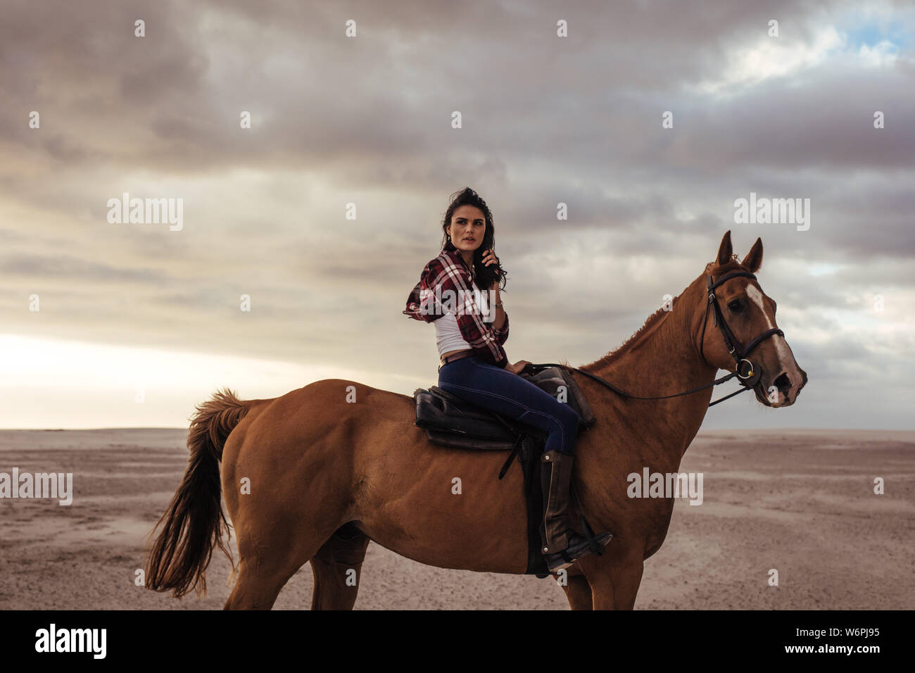 Porträt der jungen Dame auf Ihrem Pferd und Wegsehen. Weibliche Reiten am Strand in Abend. Stockfoto