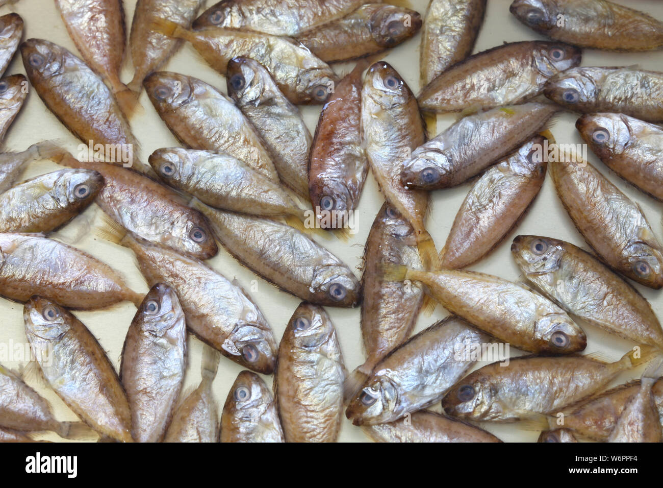 Sukugaras ist eine japanische Okinawan Delikatesse, ist der gesalzene junge rabbitfish Stockfoto