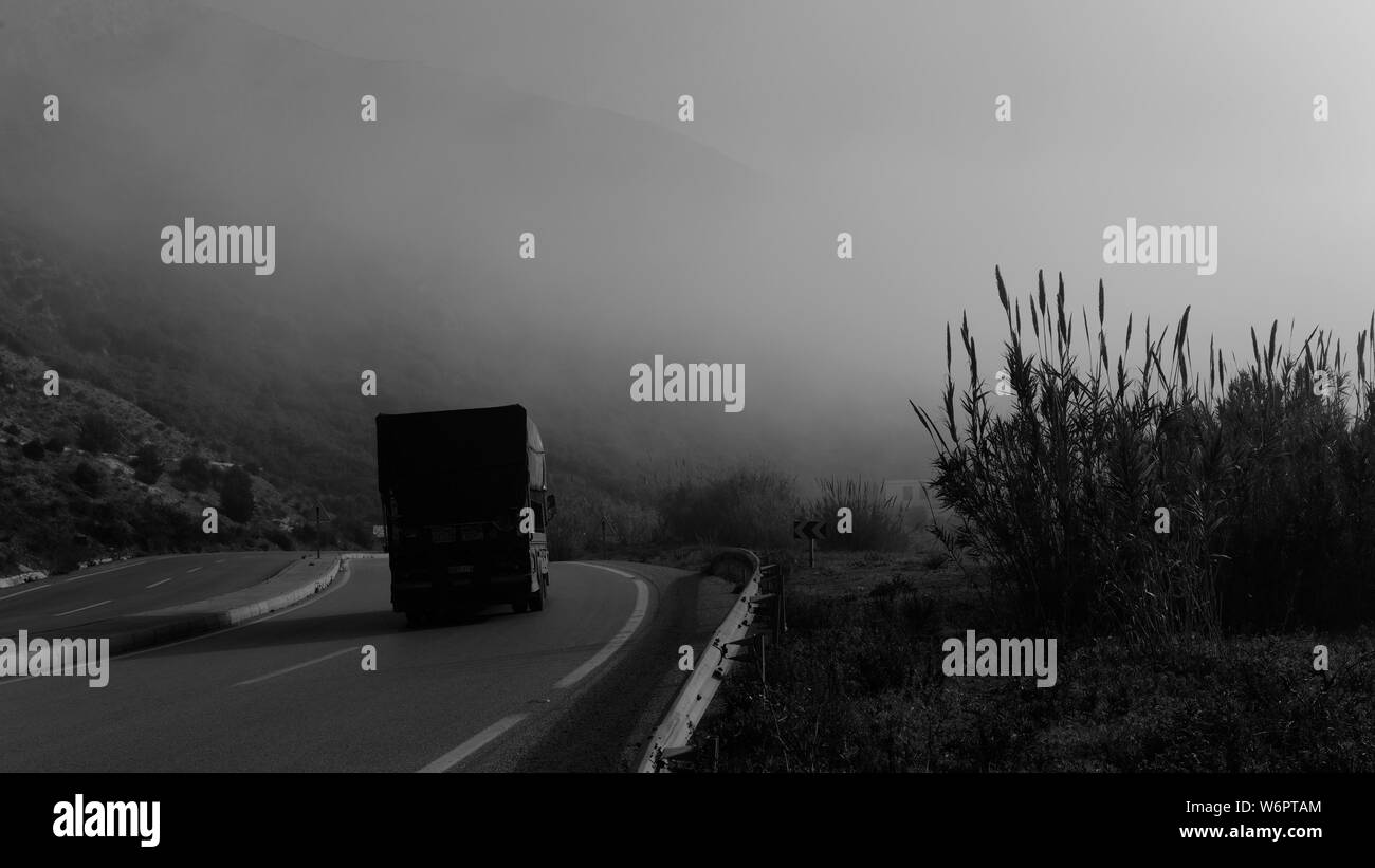 Vegetation am Straßenrand in Marokko wenige Kilometer von Tanger entfernt auf der Autobahn wie Pampas-Gras oder etwas Getreide gegen blauen Himmel und Verkehr auf der Straße. Stockfoto
