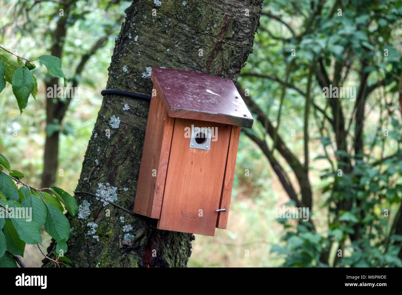 Vogelhaus für kleine Singvögel auf einem Baumstamm im Garten Wald buschige Ortsszene Stockfoto