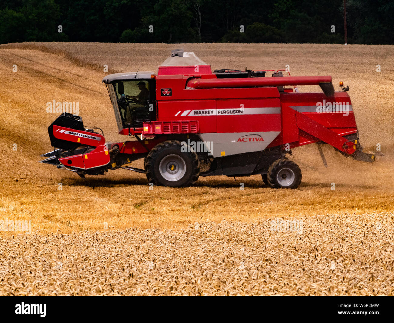 Weizen Ernte beginnt im Great Bardfield Essex UK. Diese Zeit des Jahres ist eine besorgte Zeit für Landwirte wie der Weizen muss vor dem Regen verdirbt es geerntet werden. Stockfoto