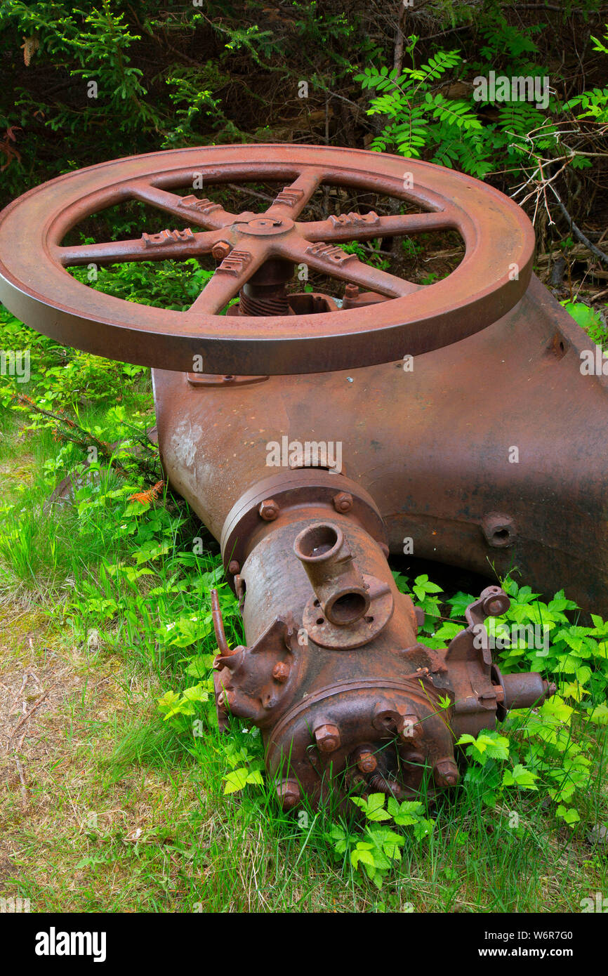 Lane Mühle motor Teile entlang Coastal Trail, Terra Nova Nationalpark, Neufundland und Labrador, Kanada Stockfoto