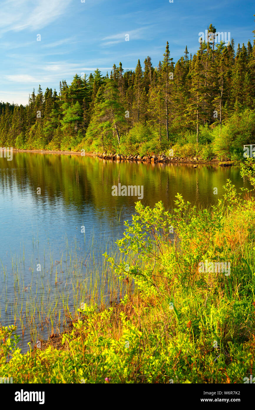 Sandy Teich entlang Sandy Pond Trail, Terra Nova Nationalpark, Neufundland und Labrador, Kanada Stockfoto