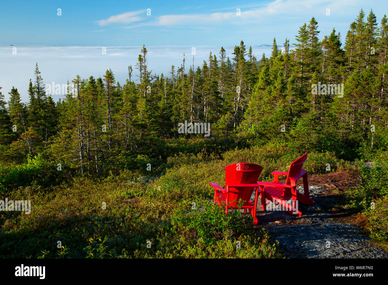 Adirondack Stühle am blauen Hügel, Terra Nova Nationalpark, Neufundland und Labrador, Kanada Stockfoto