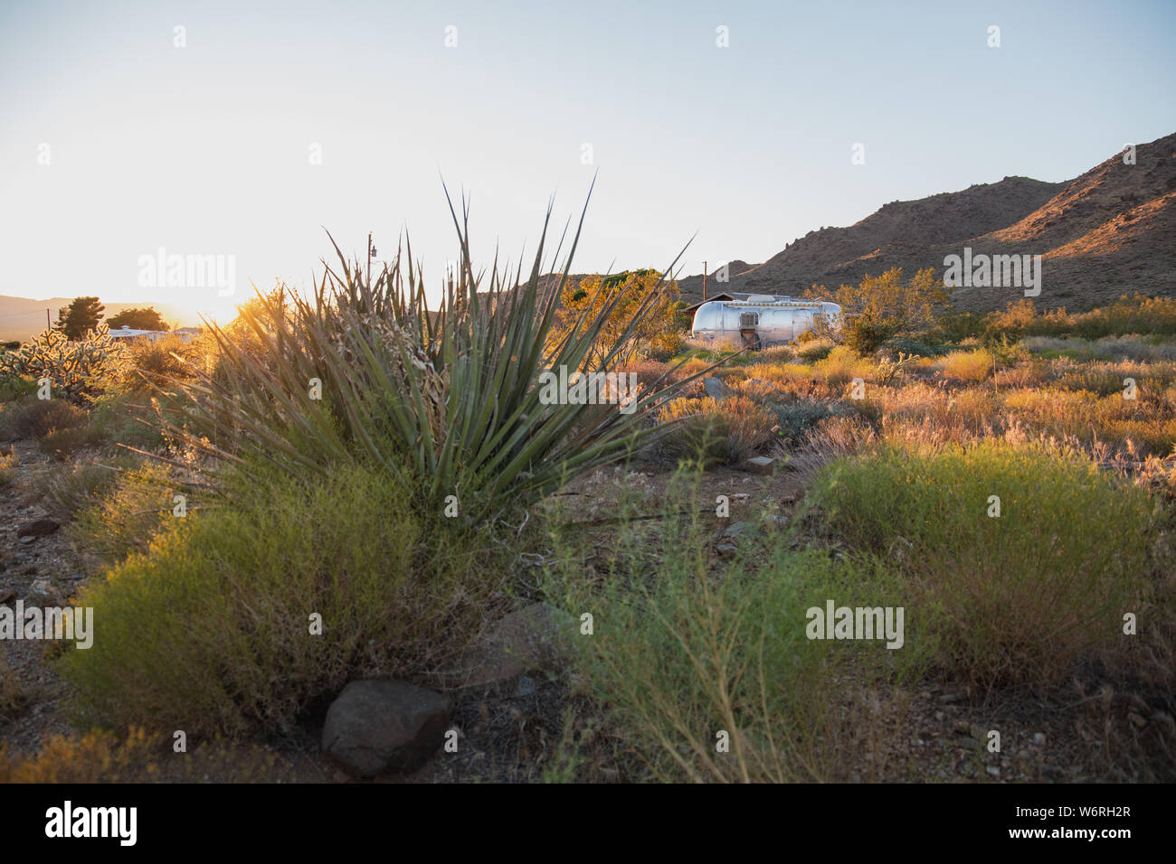 Wüste von New Mexico Stockfoto