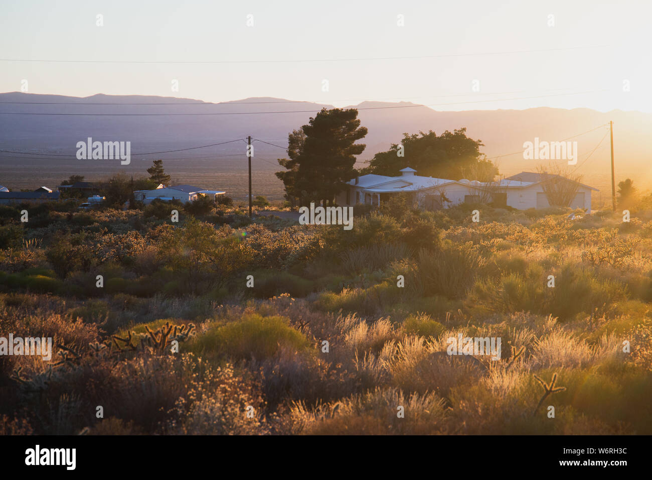 Wüste von New Mexico Stockfoto