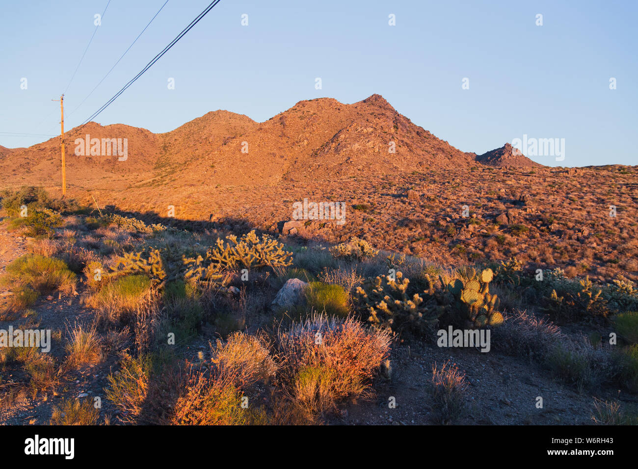 Wüste von New Mexico Stockfoto