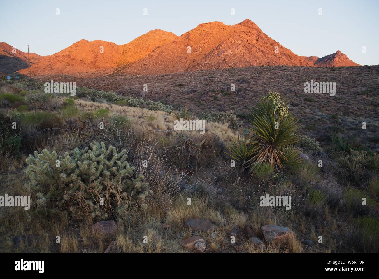Wüste von New Mexico Stockfoto
