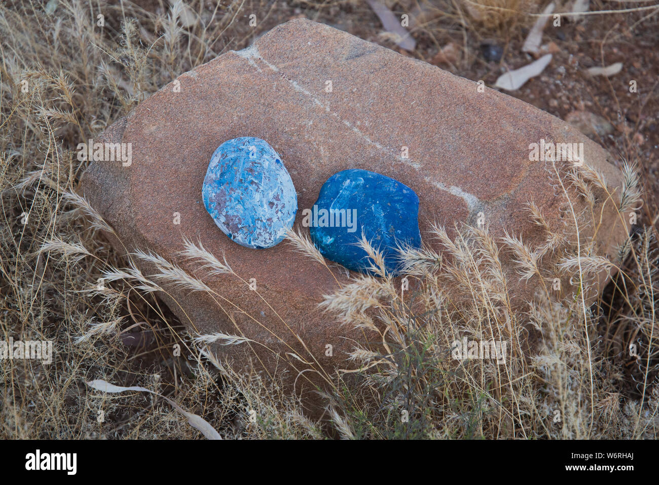 Wüste von New Mexico Stockfoto