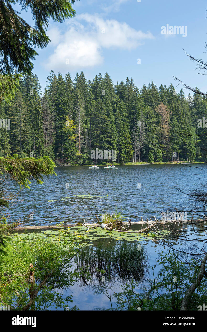 Big Lake Arber, Bayerisch Eisenstein, Bayerischer Wald, Bayern, Deutschland Stockfoto