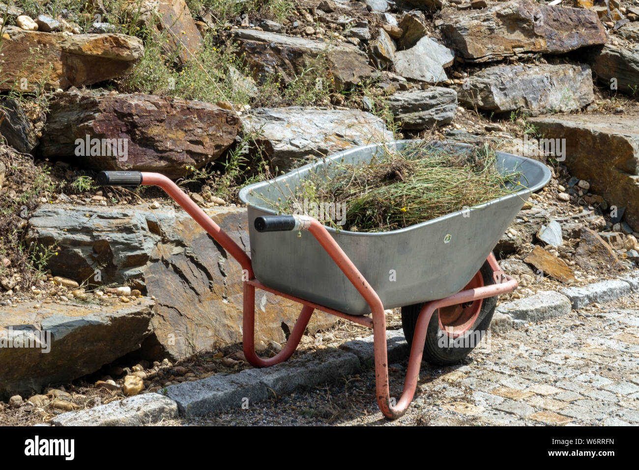 Entfernt trockene Pflanzen und Unkraut von ornamentalen Rock Garden in einer Schubkarre Stockfoto