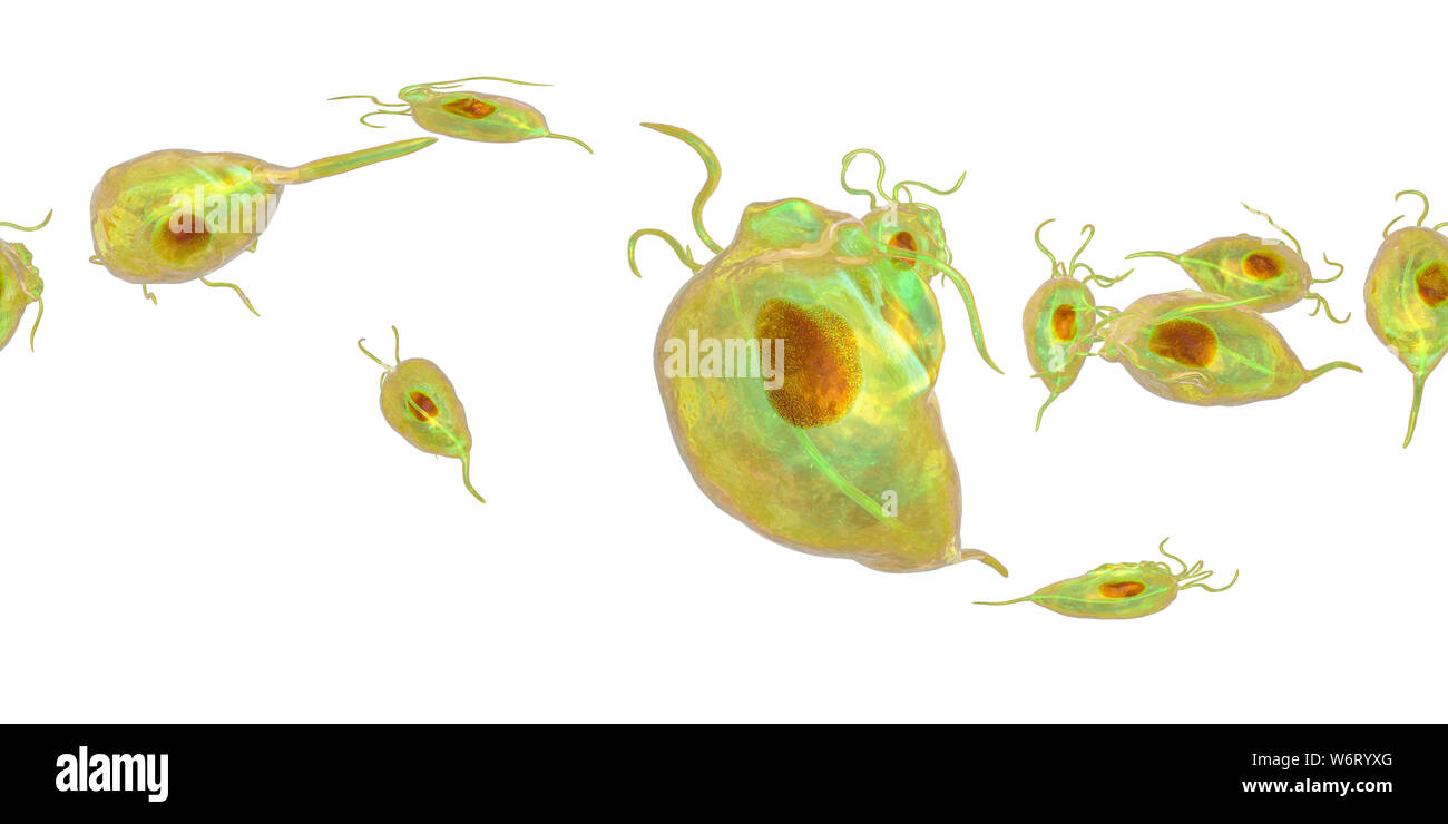trich vag by naa trich vag by naa