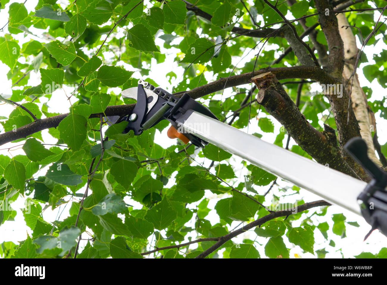 Obstbäume beschneiden Fotos und Bildmaterial in hoher Auflösung Alamy