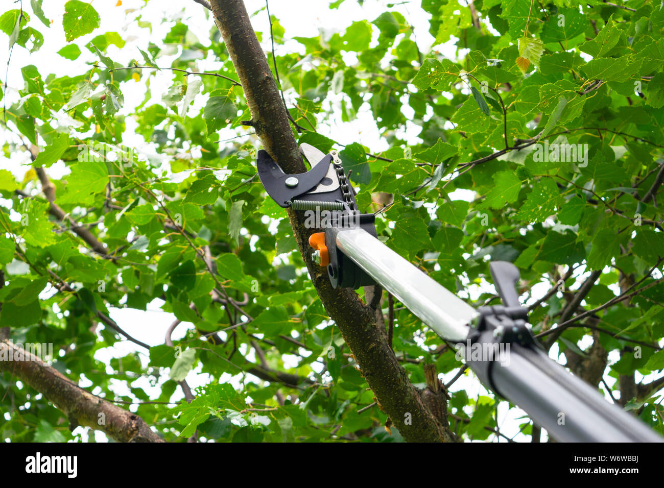 Obstbäume beschneiden Fotos und Bildmaterial in hoher Auflösung Alamy