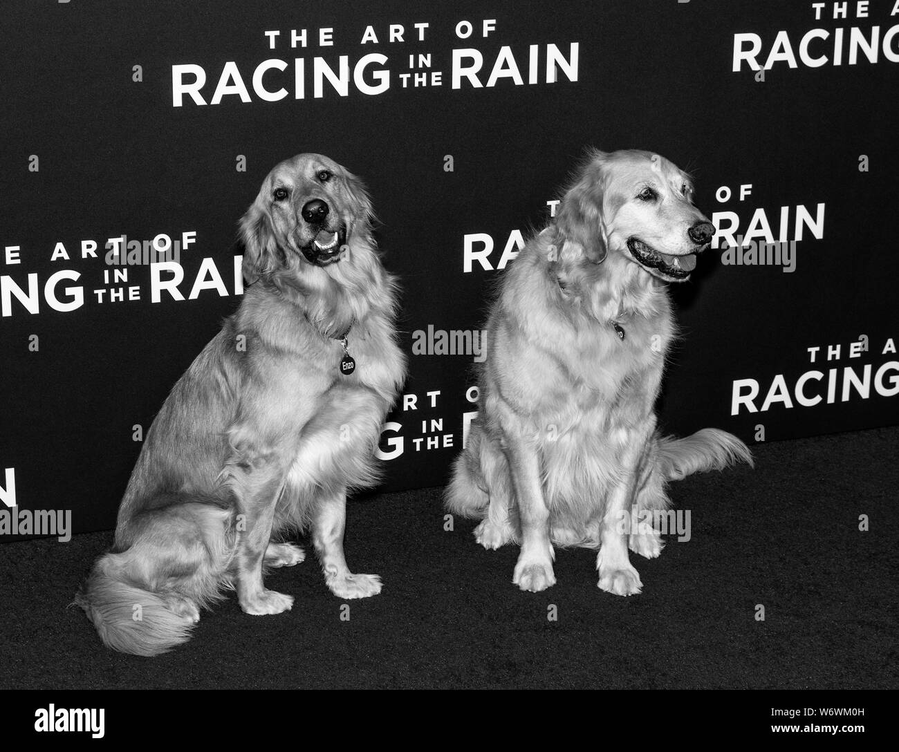 Los Angeles, CA - August 01, 2019: Parker und Butler die Premiere von "Die Kunst des Laufens in der Regen" am El Capitan Theatre statt Stockfoto