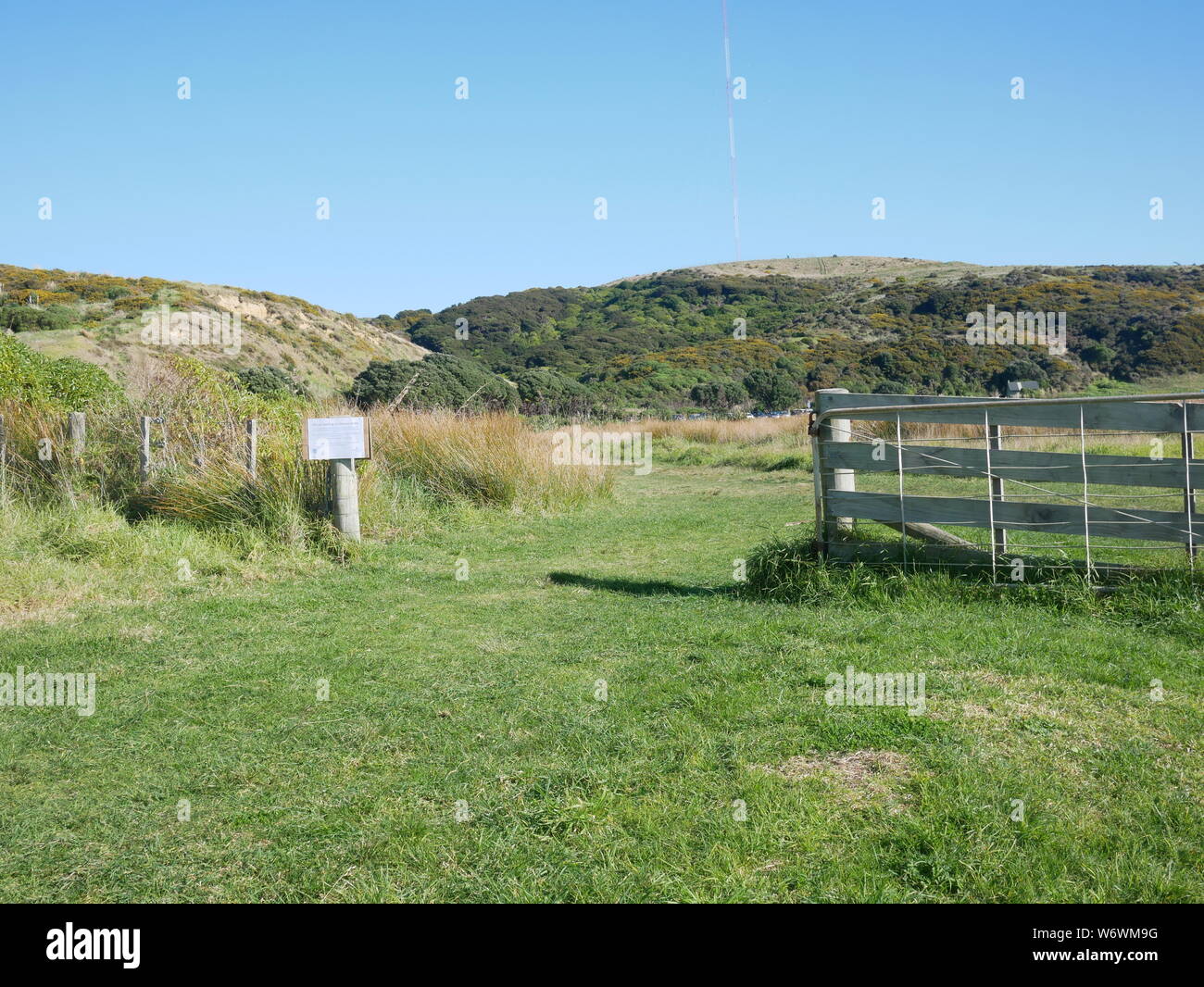 Holz- Bauernhof Zaun im Green Field - kein Pflaster Stockfoto