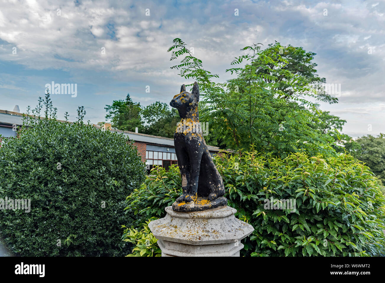 Cat Statue in Cobham Hall, Kent, Großbritannien - Ansichten Stockfoto