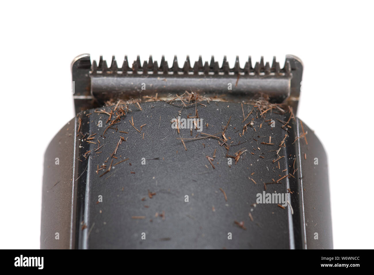 Verschmutzte elektrische Rasierer Maschine mit Haaren und Stoppeln auf der Oberseite - auf weißem Hintergrund Stockfoto
