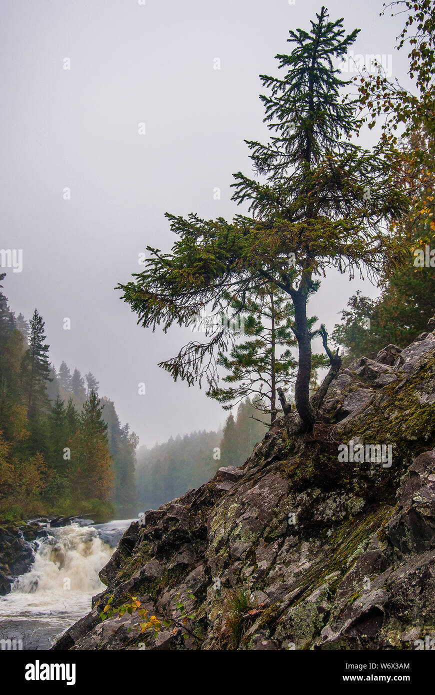 Kivach Wasserfall in Karelien, Russland. Natur Landschaft des russischen Nordens Stockfoto