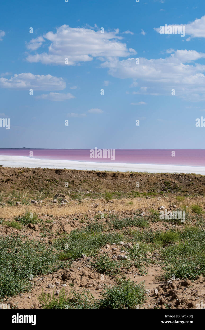 Die Türkei, Zentralanatolien: Luftaufnahme der See Tuz, Tuz Golu, Rosa und Rot Wasser des Salt Lake, einem der größten Seen der Welt hypersaline Stockfoto