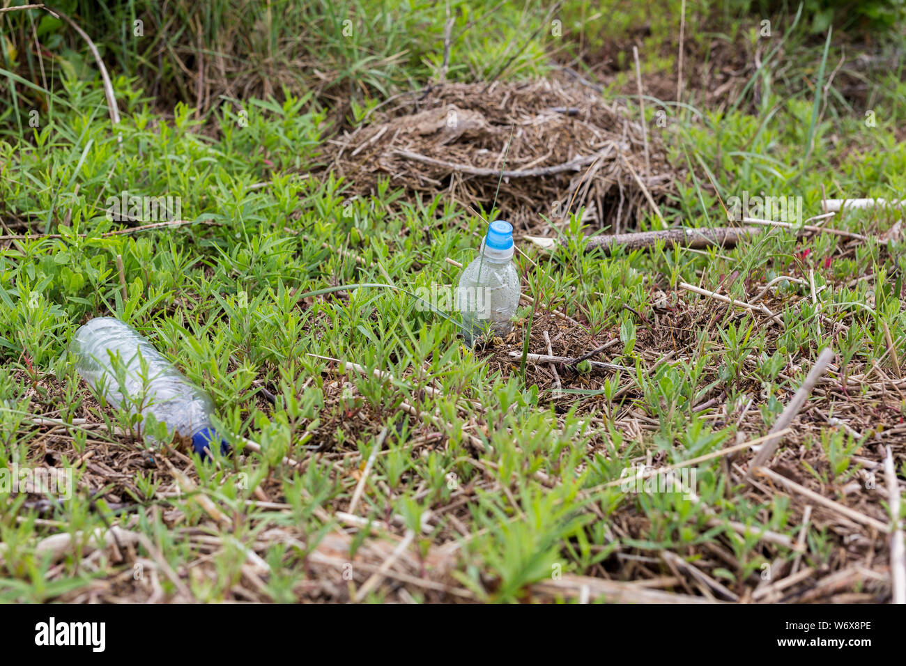 Entsorgte Plastikmüll am Rande eines Flusses an der Küste / Strand in Suffolk. Weggeworfenen anstatt recycelt, wodurch eine Gefahr für die Umwelt Stockfoto