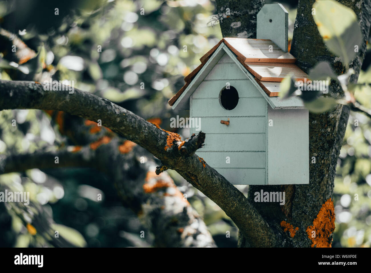 Holz- blau Vogelhaus auf einem Apple Tree in der Farm Park Zone. Einfache vogelhaus Design. Schutz für Vogel Zucht, nistkasten an einem Baum Stockfoto