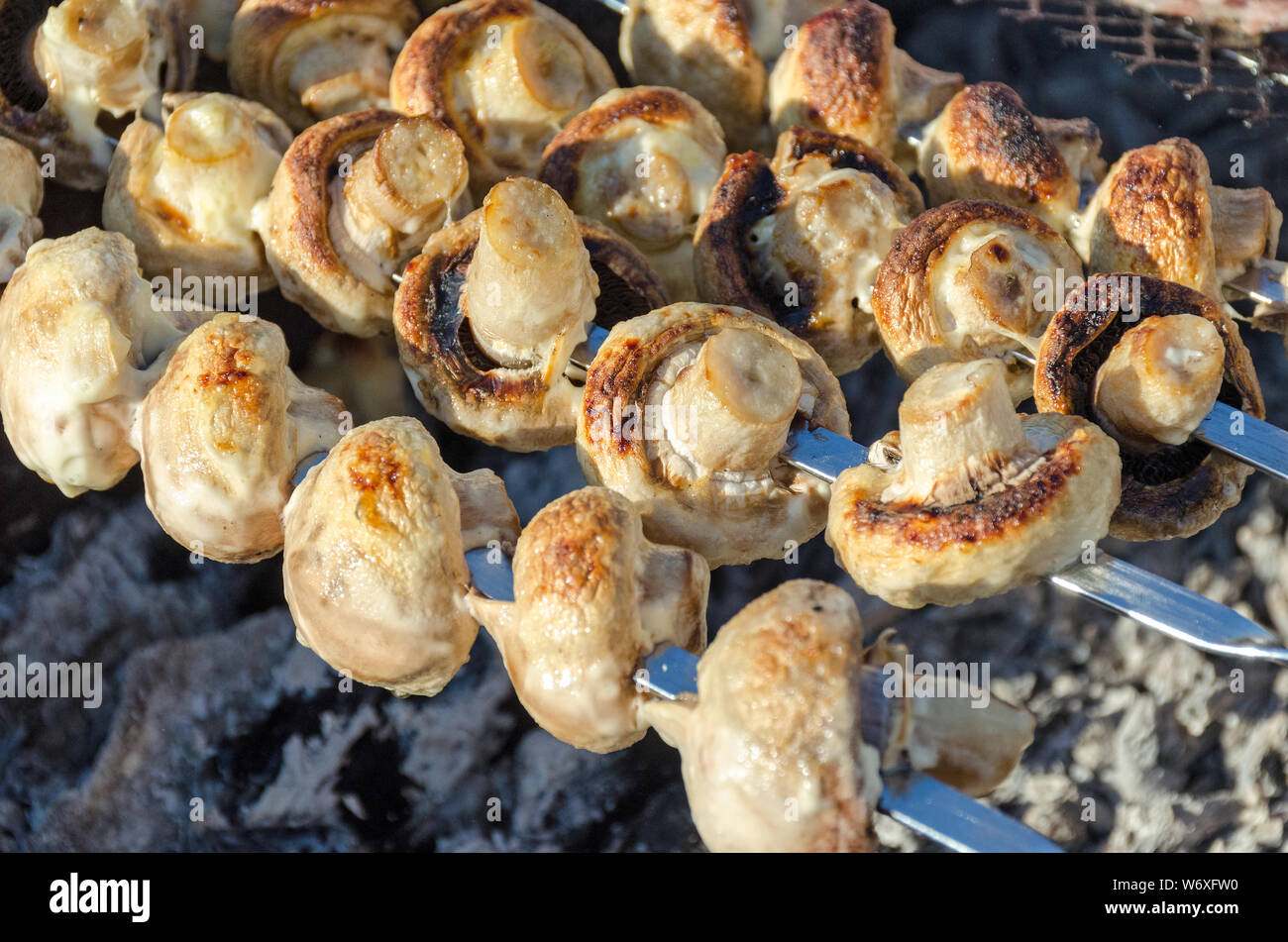 Champignon Pilze auf Spieße sind auf Kohlen auf dem Grill gegrillt. Stockfoto