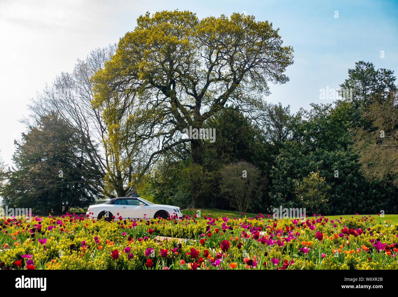 White Bentley Continental GTC Supersport mit schwarzem Verdeck Stockfoto