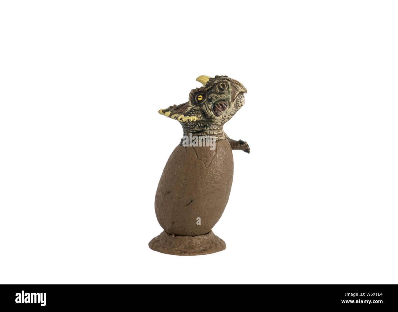 Baby und niedlichen Triceratops in Ei auf weißem Hintergrund. Triceratops war ein Pflanzenfresser Dinosaurier lebte in der Kreidezeit. Stockfoto