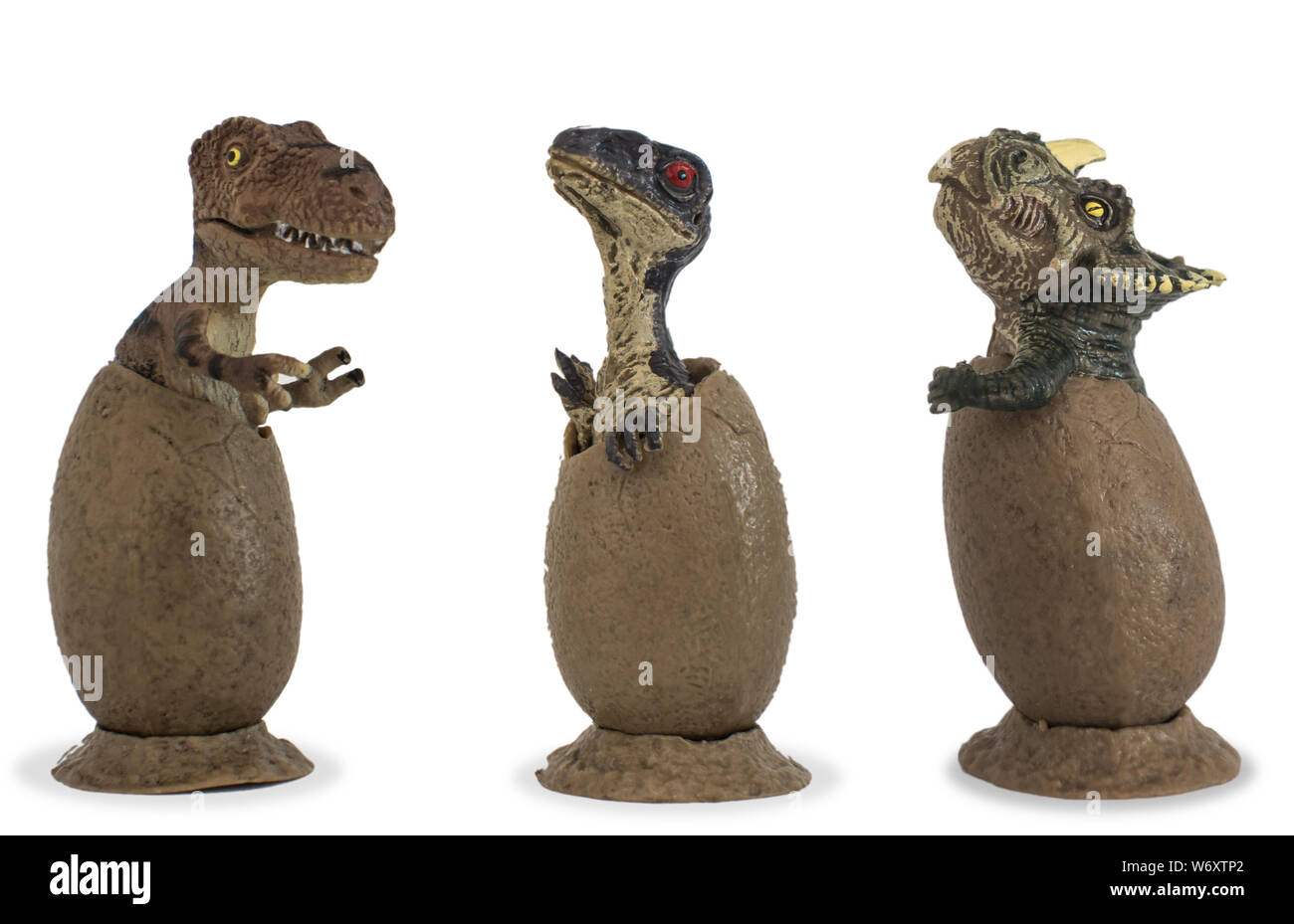 Baby, baby Tyrannosaurus rex Velociraptor und Baby Triceratops in Ei auf weißem Hintergrund Stockfoto