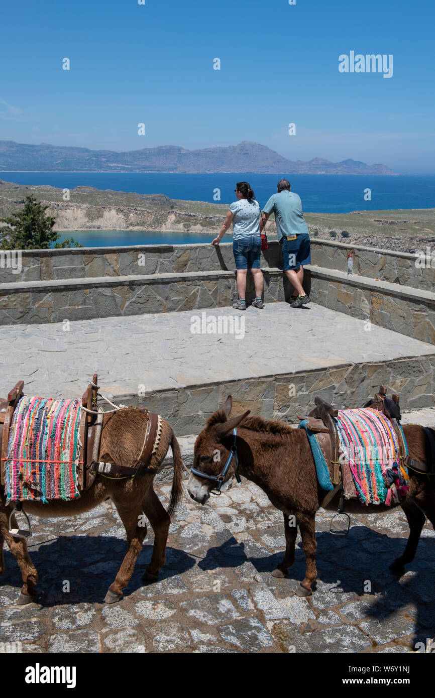 Griechenland, Rhodos, die größte der Dodekanes Inseln. Historische Lindos. Esel, die Touristen auf den engen Verbündeten der antiken Akropolis. Stockfoto