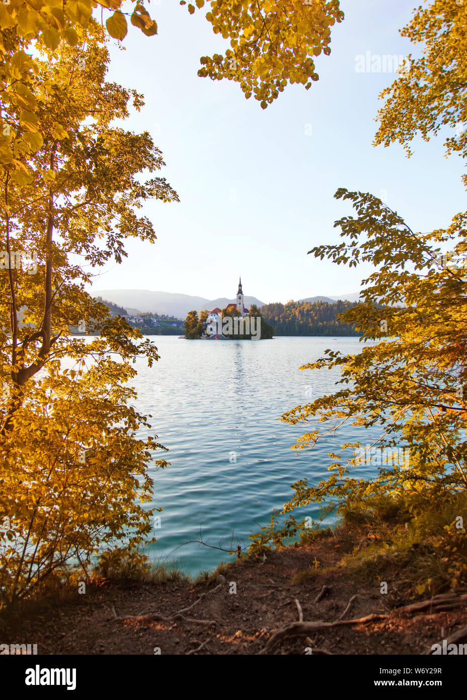 Bleder See und die berühmte Insel thru Blätter im Herbst, Slowenien Europa. Stockfoto