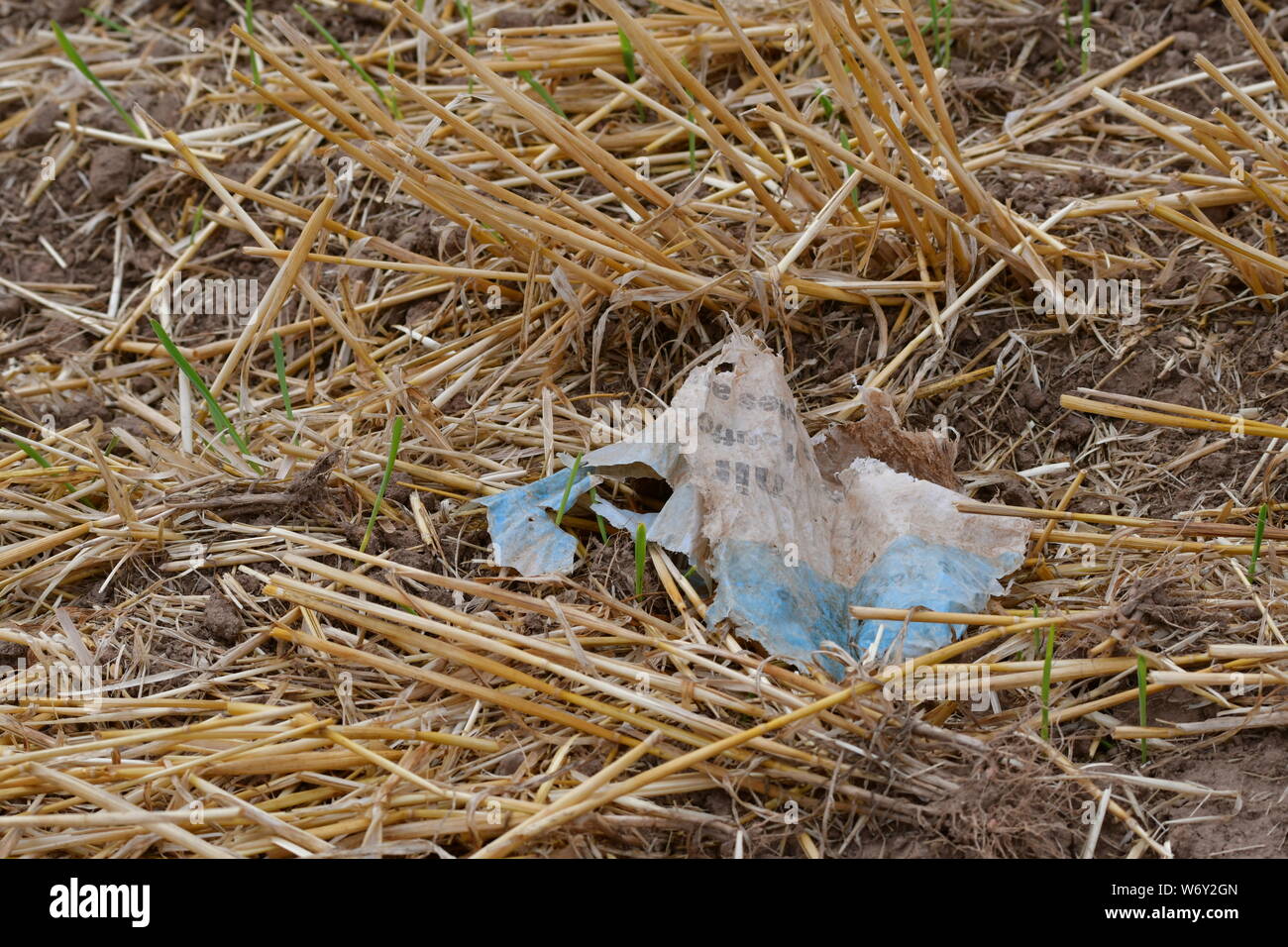 Eine weiße und eine blaue Stück Plastik Folie in einem Feld zwischen Boden ein Stroh. Stockfoto