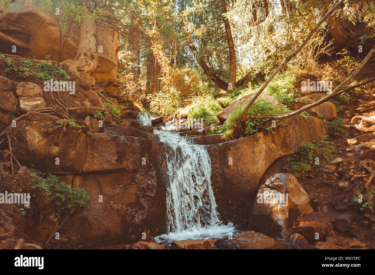 Wasserfall in Form von Schritten im Wald Stockfoto