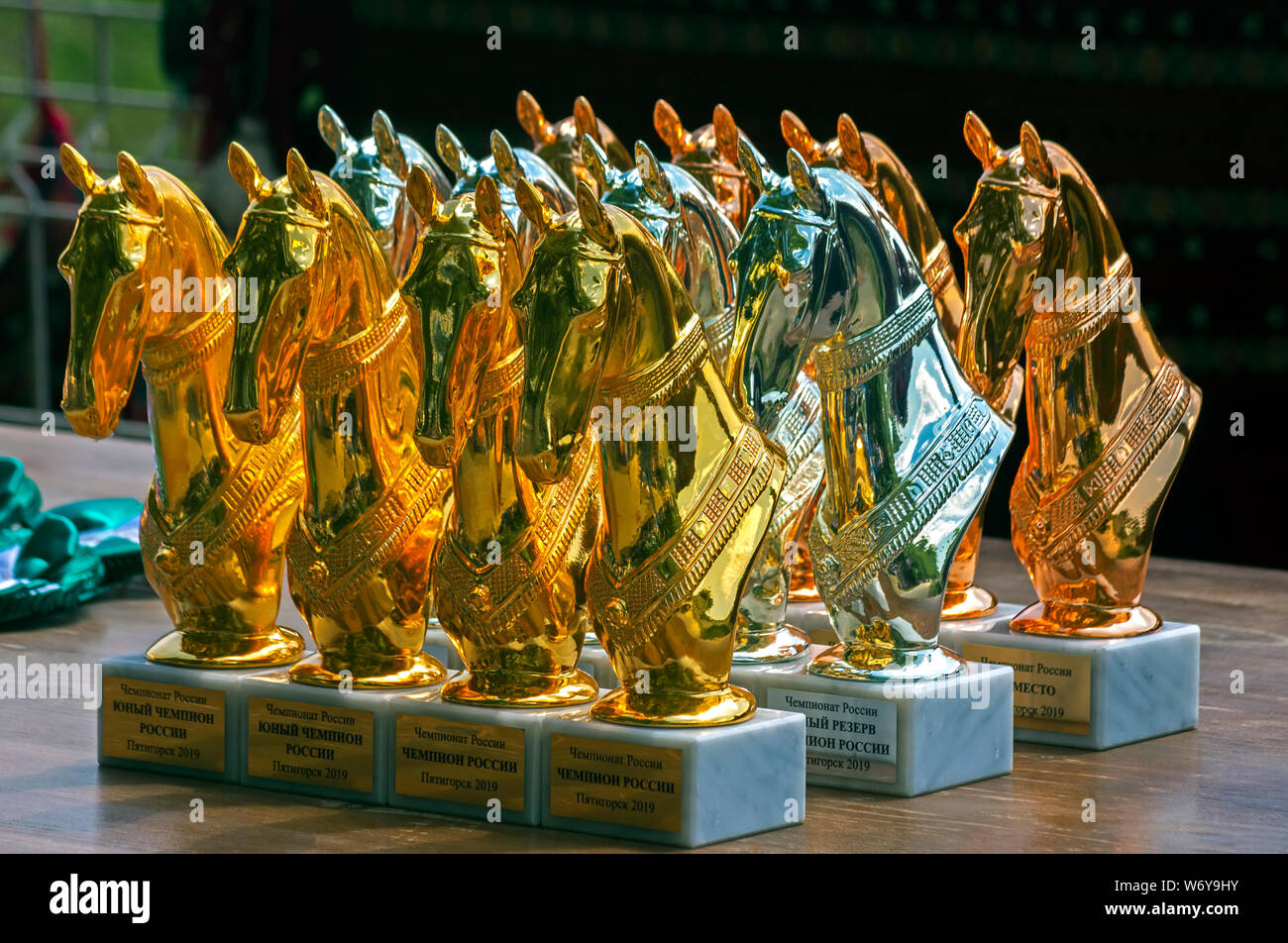 PYATIGORSK, Russland - August 03,2019: Auszeichnungen warten auf durin am 20. Masse-Sitzung Achaltekkiner-teke Pferde in Pyatigorsk Hippodrom, Russland zugewiesen werden. Stockfoto