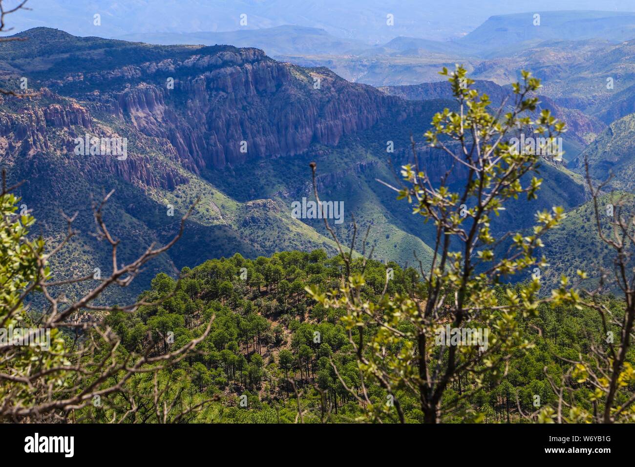 Madrean Vielfalt Expeditionen con la Comisiòn Nacional de Bereiche Naturales Protegidas, CONANP, en la Sierra del Tigre. Municipio de Nacozari Sonora Mexiko. LuisGutierrez CreditoFoto: Stockfoto