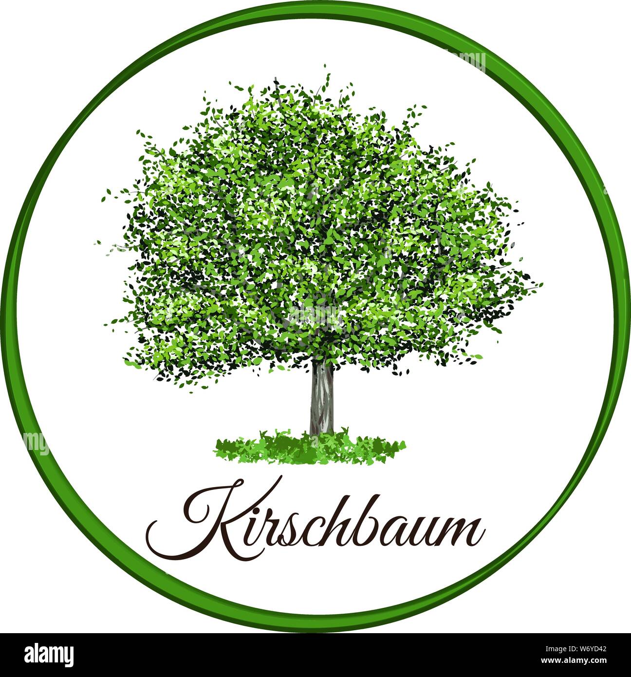 Cherry Tree als Vektor mit einzelne Blätter gezeichnet Stock Vektor