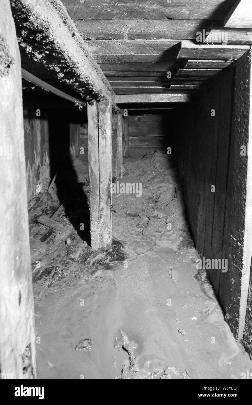 Unter thr Ersten Weltkrieg Gräben, während Hochwasser jetzt reflooded abgelassen. Seltenen Blick; Stockfoto