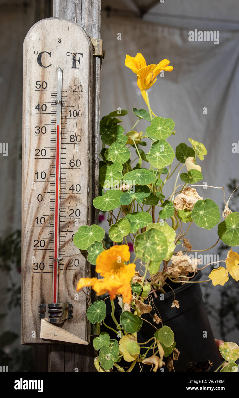 Thermometer auf meiner Terrasse bei hoher Temperatur Stockfoto