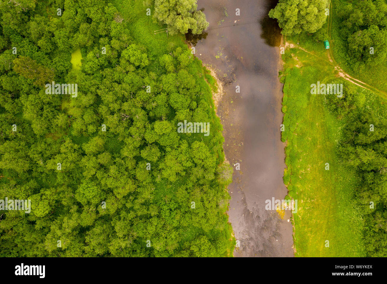 Antenne drone Blick auf den Fluss mit Schilf und Gras schneiden durch Wald überwuchert Stockfoto