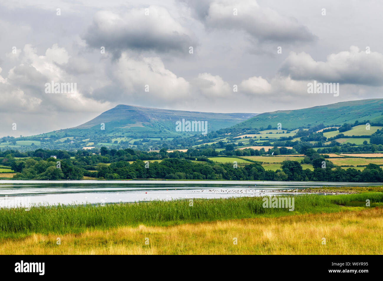 Llangorse Lake in den Brecon Beacons National Park Powys und ist der größte natürliche See in South Wales Stockfoto