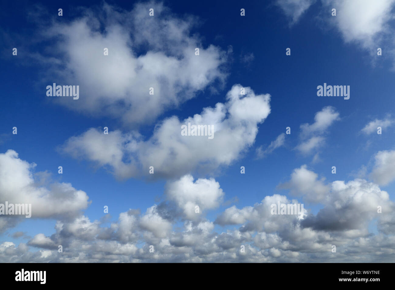 Cumulus Cloud, Wolken, blauer Himmel, Meteorologie, Wolkenbildung, Formationen, Wetter, England, Großbritannien Stockfoto