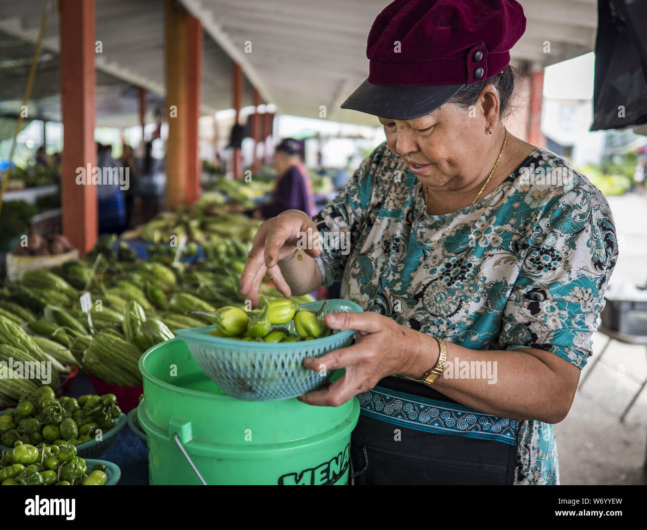 St. Paul, Minnesota, USA. 3 Aug, 2019. Ein gemüsestand Keeper aus frischem Gemüse auf dem Markt der Bauern Hmongtown Marktplatz. Tausende Hmong, ursprünglich aus den Bergen im Zentrum von Laos, die in den Twin Cities in den späten 1970er Jahren besiedelt er und Anfang der 80er Jahre. Die meisten waren Flüchtlinge, die von dem amerikanischen Krieg in Südostasien vertrieben. Nach Angaben der US-Volkszählung von 2010 gibt es 66.000 ethnischen Hmong in Minneapolis-St. Paul, sodass es den größten städtischen Hmong Bevölkerung in der Welt. Es gibt zwei grosse Hmong Marker in St. Paul. Die Hmongtown Markt hat mehr als 1. Stockfoto