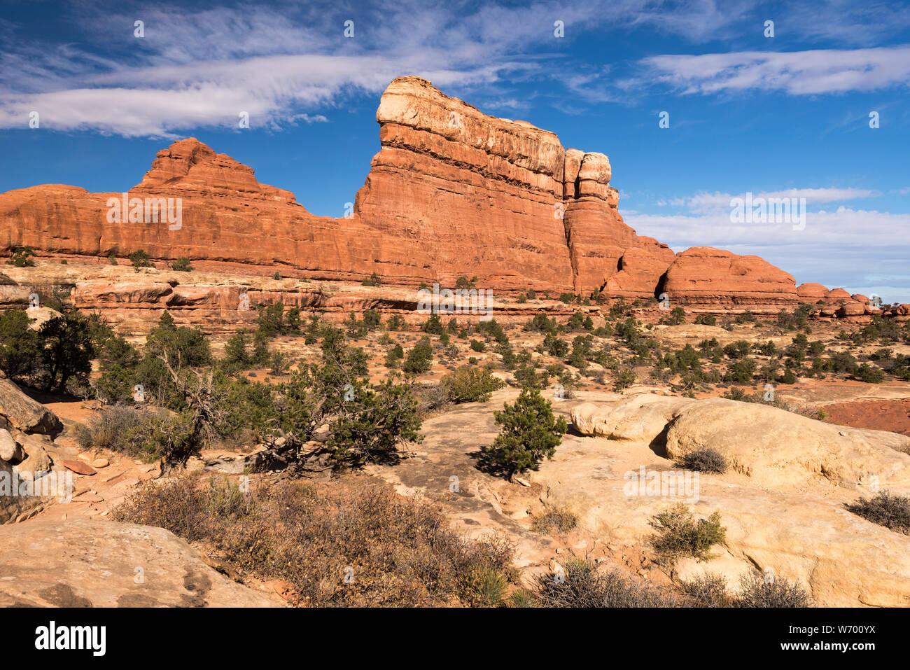 Einzigartige Red Rock Formen im Needles District des Canyonlands National Park, Utah. Stockfoto