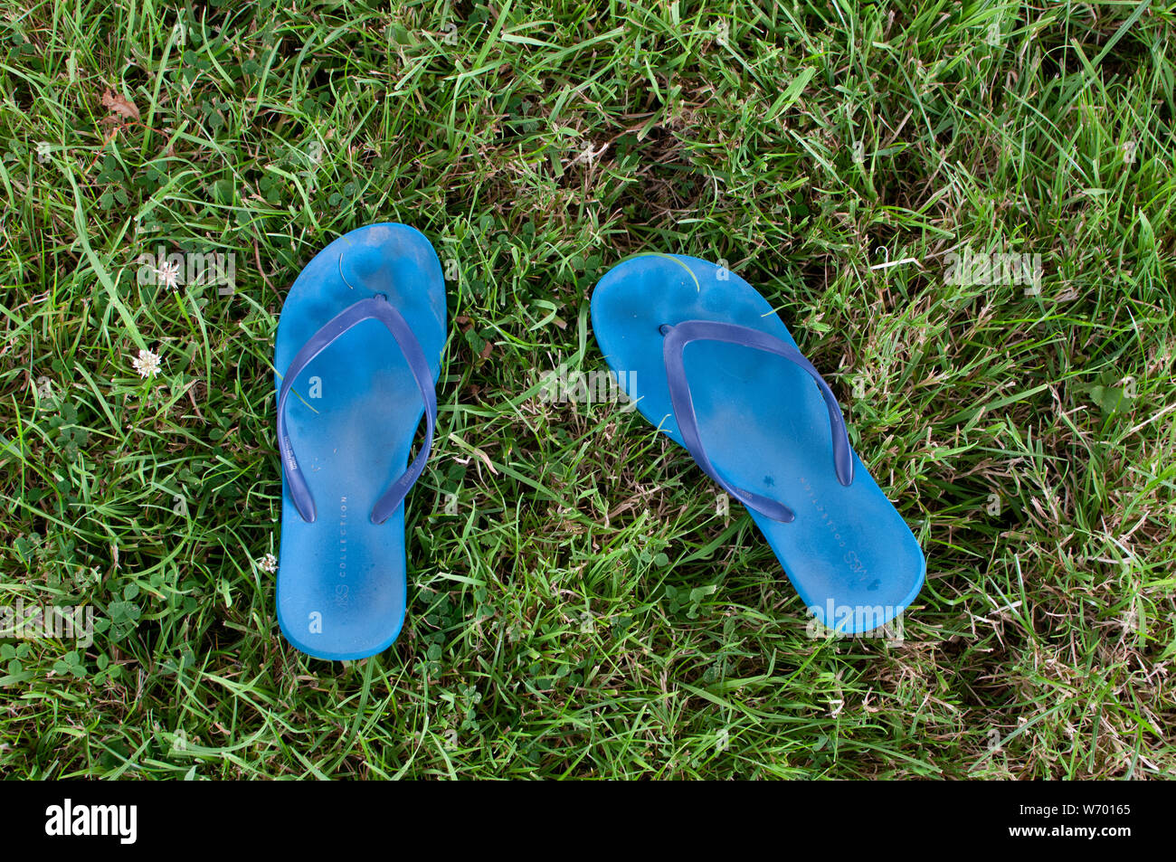 Flip-Flops auf Rasen Stockfoto